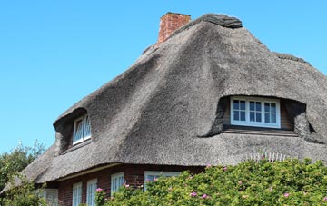 thatch roofing Stoneycombe, Devon